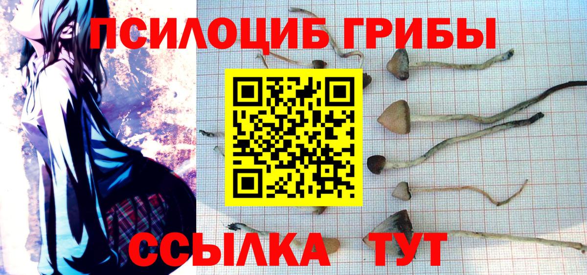 Ржев  Галлюциногенные грибы Cubensis  Псилоцибиновые грибы мицелий  Вход с VPN 
